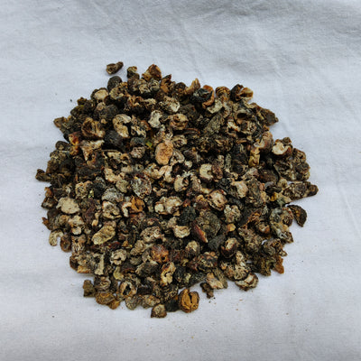Amla – Phyllanthus emblica (Indian Gooseberry)