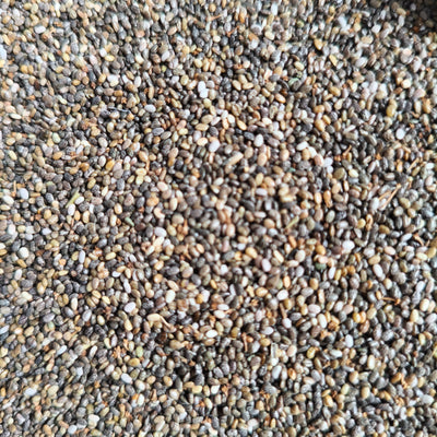Chia Seeds