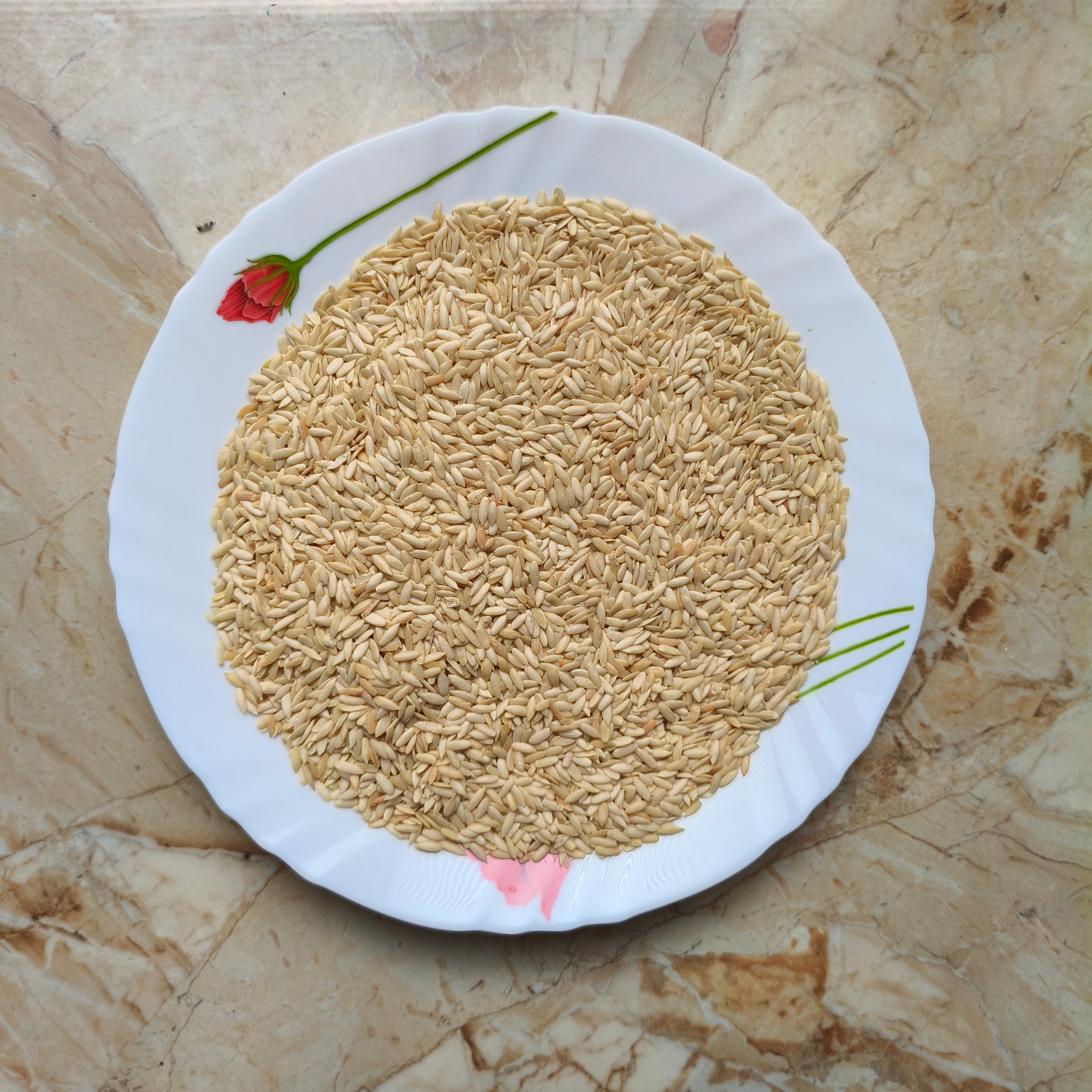 Cucumber_seeds
