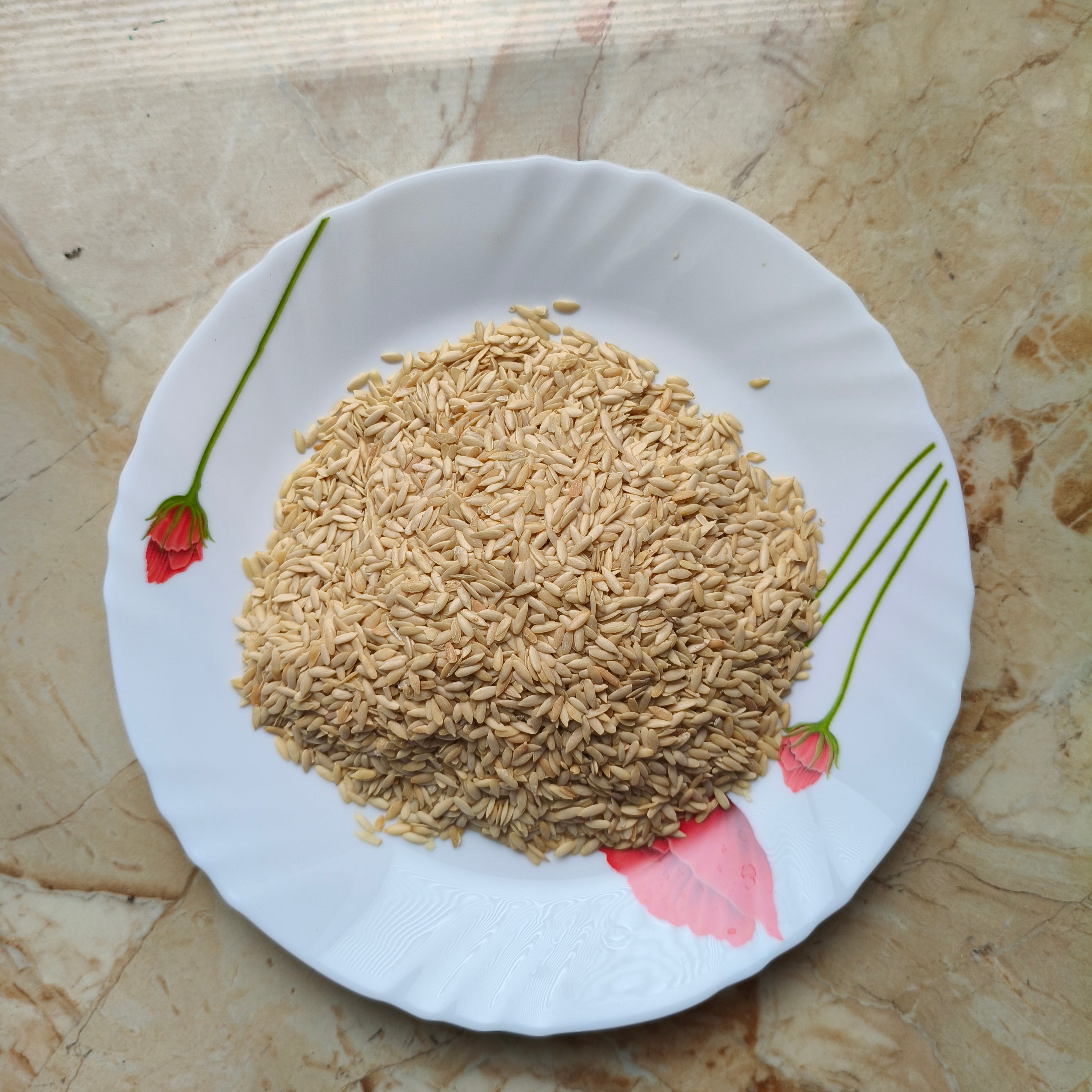 Cucumber_seeds