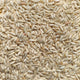 Cucumber_seeds