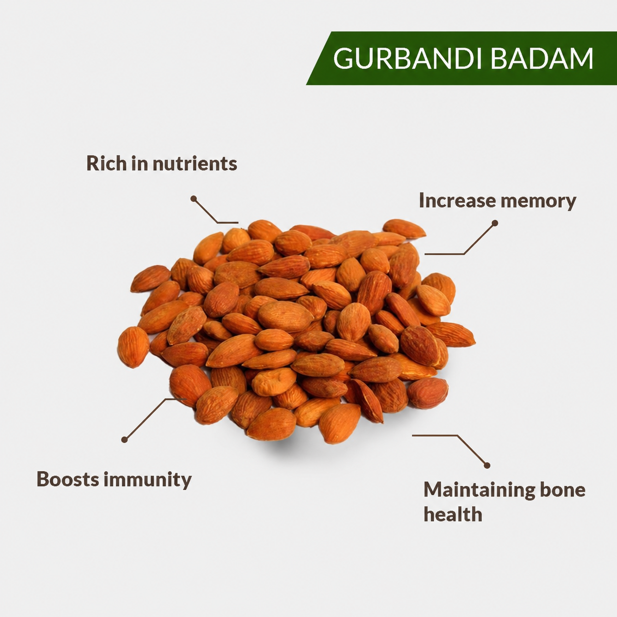 Pishori Almonds(Apricot Kernels) – Prunus armeniaca | Premium Sweet Apricot Kernels