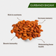 Pishori Almonds(Apricot Kernels) – Prunus armeniaca | Premium Sweet Apricot Kernels