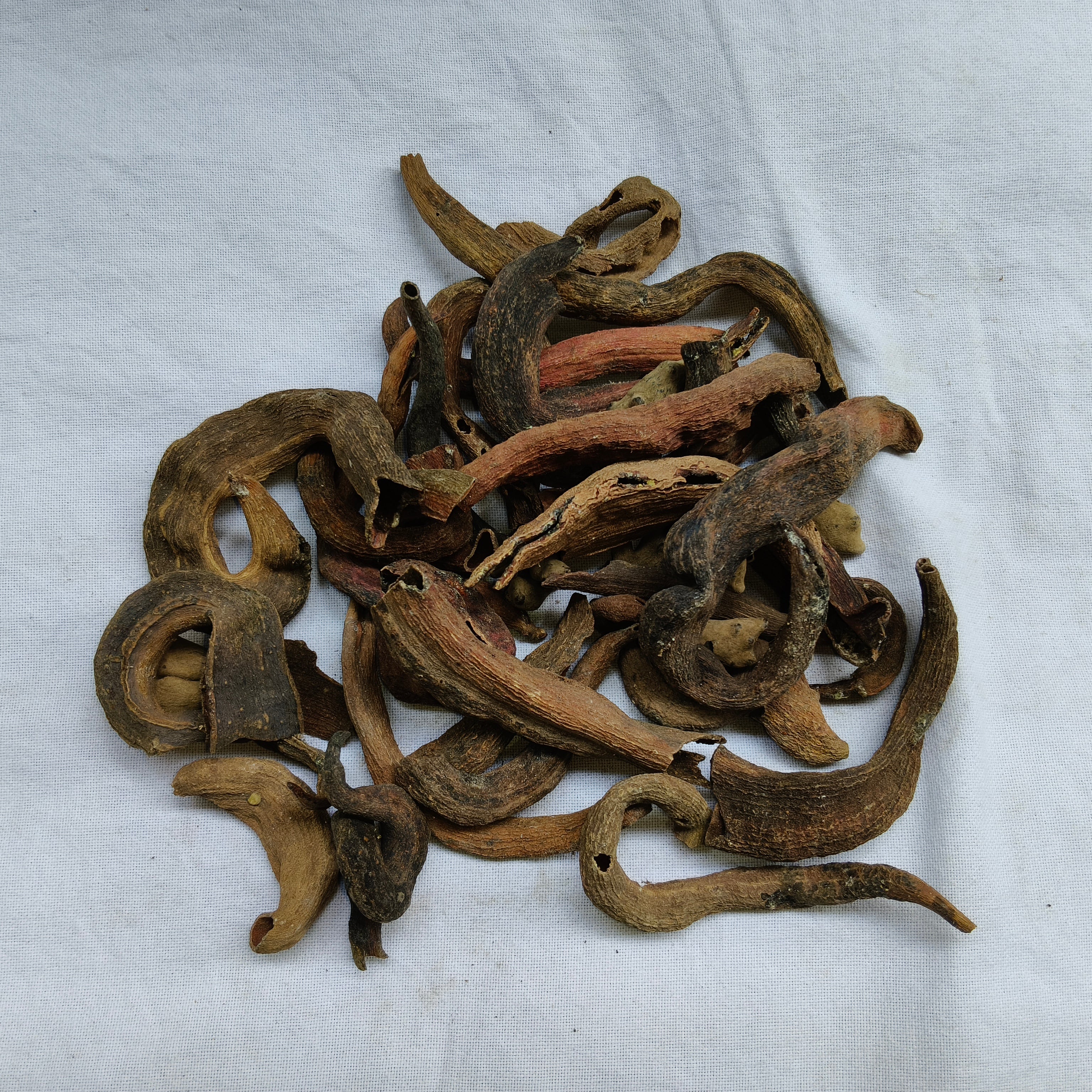 Kakarsinghi