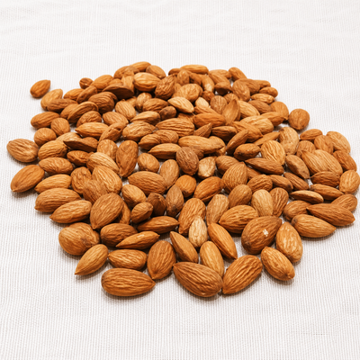 Pishori Almonds(Apricot Kernels) – Prunus armeniaca | Premium Sweet Apricot Kernels
