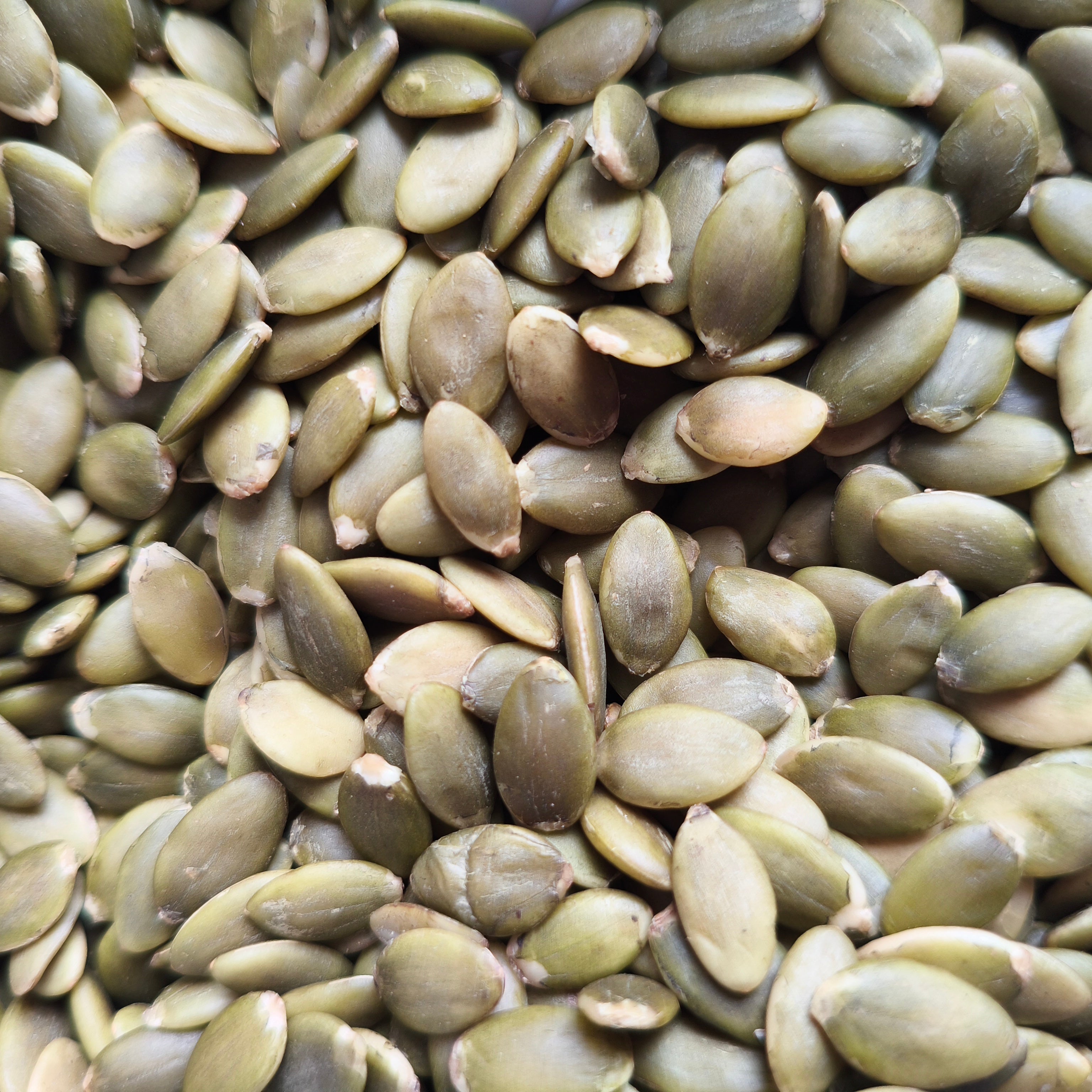 Pumpkin_seeds