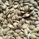 Pumpkin_seeds