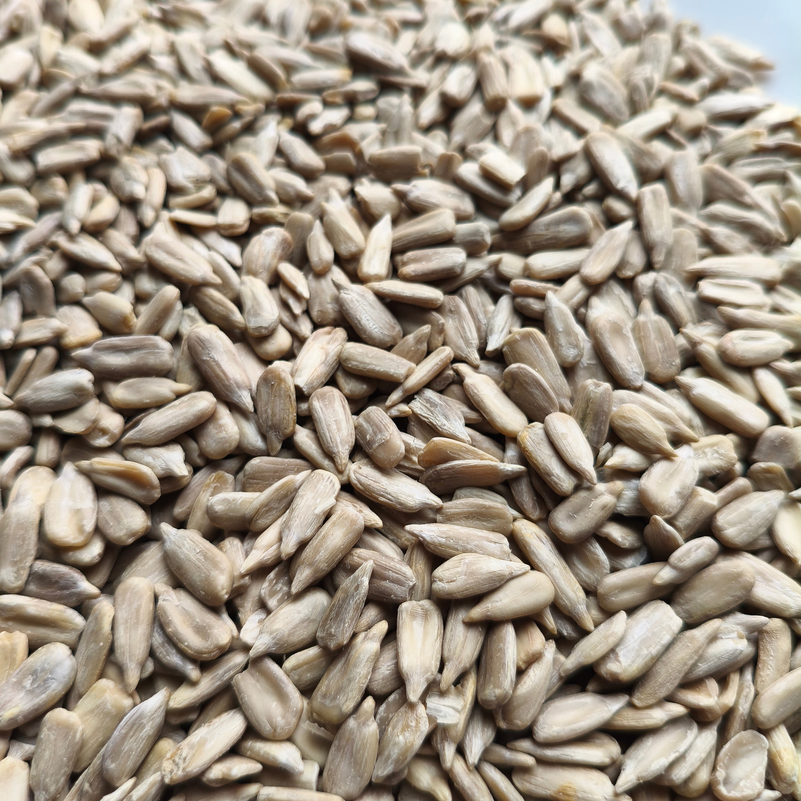 Sunflower_seeds