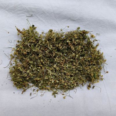 Banafsha – Viola odorata (Sweet Violet)